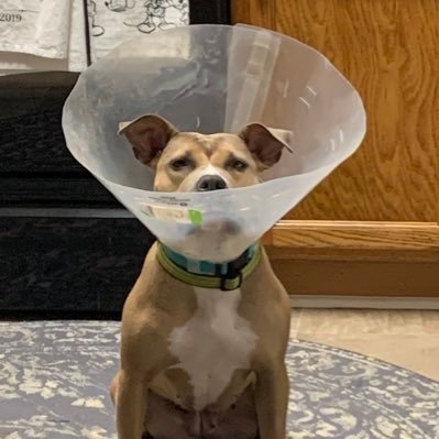 FleetwoodMcC's profile picture. 