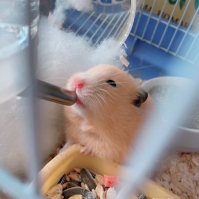はんたーなつ