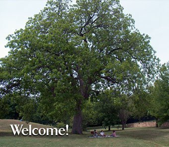 Community Unitarian Universalist Church of Plano TX is a congregation of welcoming, diverse, caring and committed people. Seek your truth in freedom.