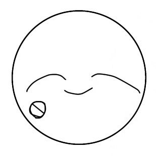 白いお餅さんのプロフィール画像