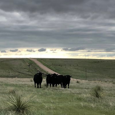 Fourth Generation Farmer & Rancher