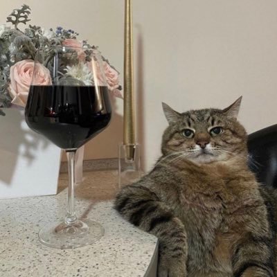 HereMattox's profile picture. 