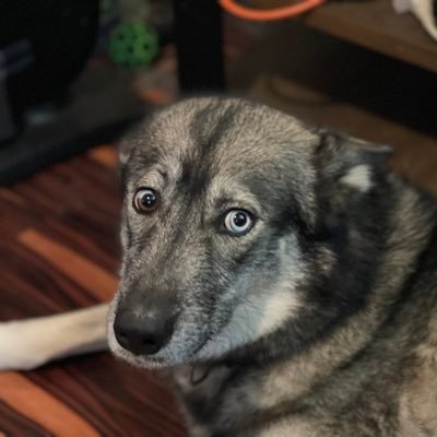 loveless_jonny's profile picture. Living my life the way I want, there’s no time to fixate on past mistakes and misfortunes. Be kind; Be happy.