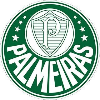 Venha encontrar o amor da sua vida palmeirense 🐷