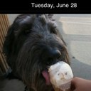 Lars Berg - @gunnerguy26 - Twitter