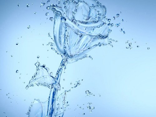 not2stress's profile picture. 