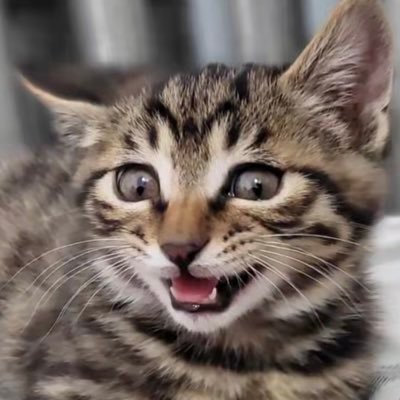 readbook2023's profile picture. 