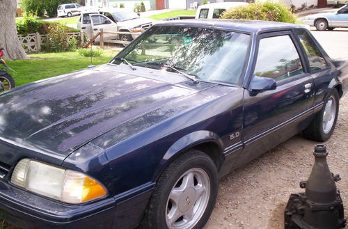 DBroncoDiehards's profile picture. Avid Colorado Rockies, Denver Broncos fan. Works in the wind industry and consider myself a true blue Patriot. America and American citizens should be of first