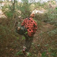 Skizm (@weace) 's Twitter Profile