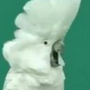 Eric Pak - @dungobum - Twitter