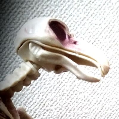 haruさんのプロフィール画像