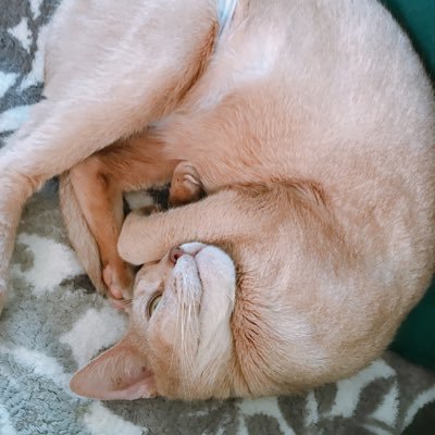 katajis2902's profile picture. 