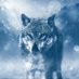 A Warrior - Freedom is not Free (@davideannz) Twitter profile photo A Warrior - Freedom is not Free (@davideannz) Twitter profile photo