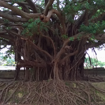 r59tIuZzJxxUe6f's profile picture. 山登ってます