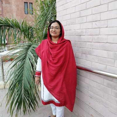 Freelance Editor@Auraq| Digital Sherlock @DFRLab
Ex-Writer@propk| 
Ex-@NationalAssembly| Freelance Writer for 7 years| M.Phil Public Policy @PIDE