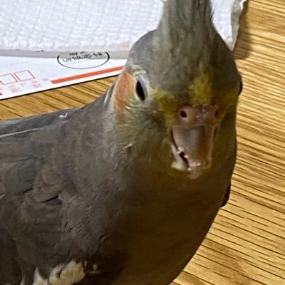 Km18KKVpDiOCDB7's profile picture. 