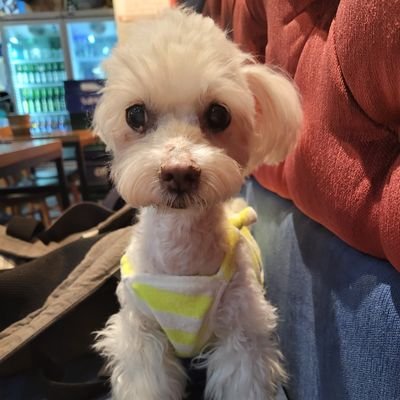 bomi6646's profile picture. (박지민💕방탄BTS)
(하현우💕국카스텐)
애정합니다💕