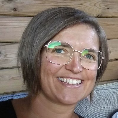 Directeur regio Westhoek bij Ligo (Centrum voor Basiseducatie Brugge-Oostende-Westhoek)