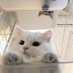 ตอตอ. (@aphittt_) Twitter profile photo ตอตอ. (@aphittt_) Twitter profile photo