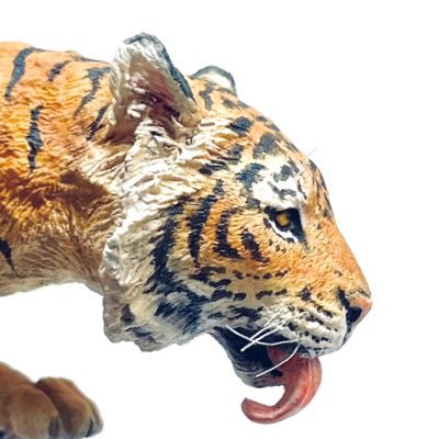 ぎあいさんのプロフィール画像