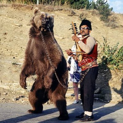 ArkinB's profile picture. 