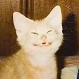 skrnqly's profile picture. 18+ account🔞 if you know me, no you don't! 22