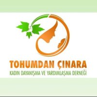Tohumdan Çınara Kadın Derneği(@TohumdanCinara) 's Twitter Profile Photo