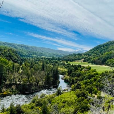 Viajerodeltie's profile picture. Por un Chile libre y sin comunismo! ahora o nunca!
