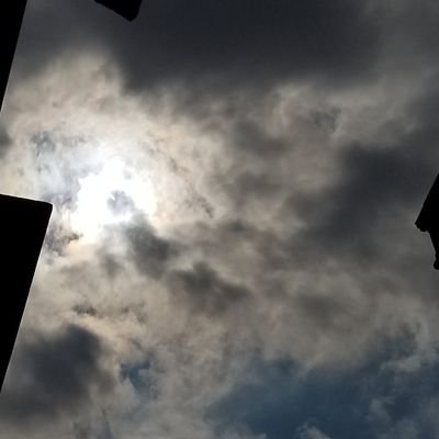 RajindraKumara1's profile picture. 