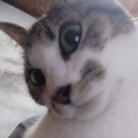 ππππ π¦π· βββ (@bianpuki) 's Twitter Profile