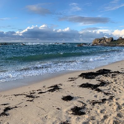 LeBotPhilippe2's profile picture. 