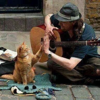 ahmdoviic's profile picture. تفنى العباد ولا تفنى صنائعهم،  فاختر لنفسك ما يحلو به الأثرُ