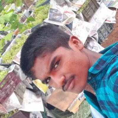 dd450734's profile picture. DINESH