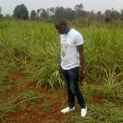 Benson674737762's profile picture. Am humble