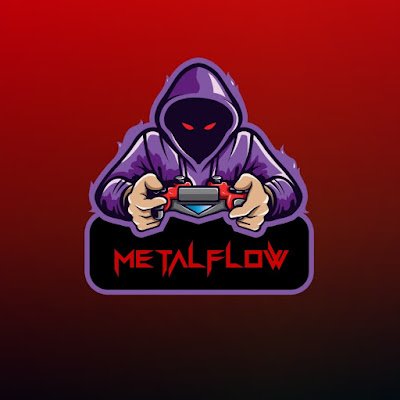 MetalFlow3's profile picture. 