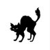 𝗧𝗘𝗔𝗠 𝗕𝗟𝗔𝗖𝗞 𝗖𝗔𝗧 © (@teamblackcat_) Twitter profile photo 𝗧𝗘𝗔𝗠 𝗕𝗟𝗔𝗖𝗞 𝗖𝗔𝗧 © (@teamblackcat_) Twitter profile photo
