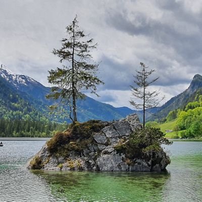 roomisunny95's profile picture. 