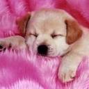 Madina Barry Navarro - @buglitalabonita - Twitter