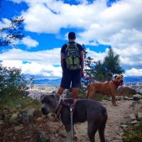 Rodrigo Rodas Mansilla (@rodr_o_o) 's Twitter Profile