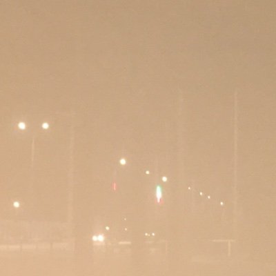 hosein46733292's profile picture. just for fun