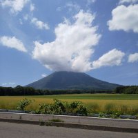 otokyonken (@otokyonken) 's Twitter Profile