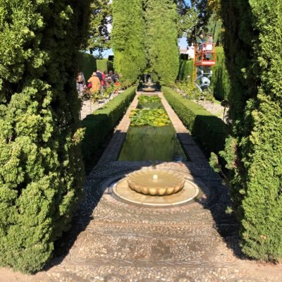 Morisco_Moreno's profile picture. De la raza mora, amiga del sol ☀️