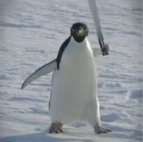 Med7118230Zaky's profile picture. Just a normal dude