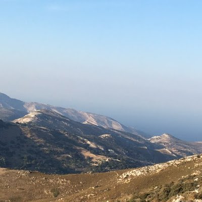 FRANCKMACE1's profile picture. 