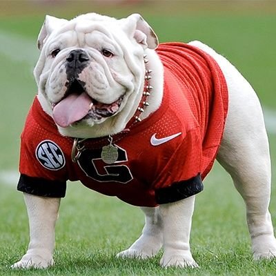 I'm an UGA stan account
Go Dawgs for ever!♥️🤍🖤