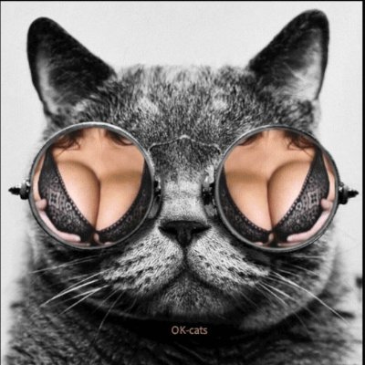 TheMostPervMish's profile picture. I rt images and videos that I like