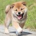 🐶ブーワン🐶 (@jrgbxbbnyeu7irq) Twitter profile photo 🐶ブーワン🐶 (@jrgbxbbnyeu7irq) Twitter profile photo