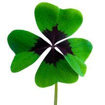 BetRecover's profile picture. Quieres recuperar parte de tus apuestas perdidas??? Más info por privado
Do you want to recover part of your lost bets ??? More info by private