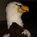Patrick Mosser 🦅 (@westy6176) Twitter profile photo Patrick Mosser 🦅 (@westy6176) Twitter profile photo
