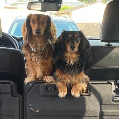 Marvinicci's profile picture. 